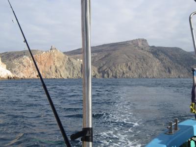 Прикрепленное изображение: IMG_0458.JPG